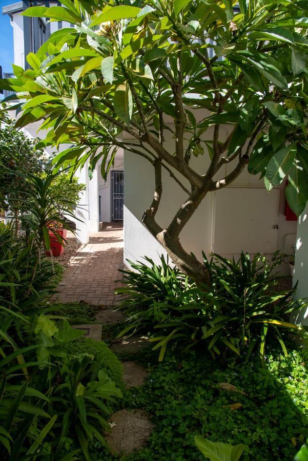 New Listing - 4 Laguna Grove - Life On The Water Knysna Kültér fotó